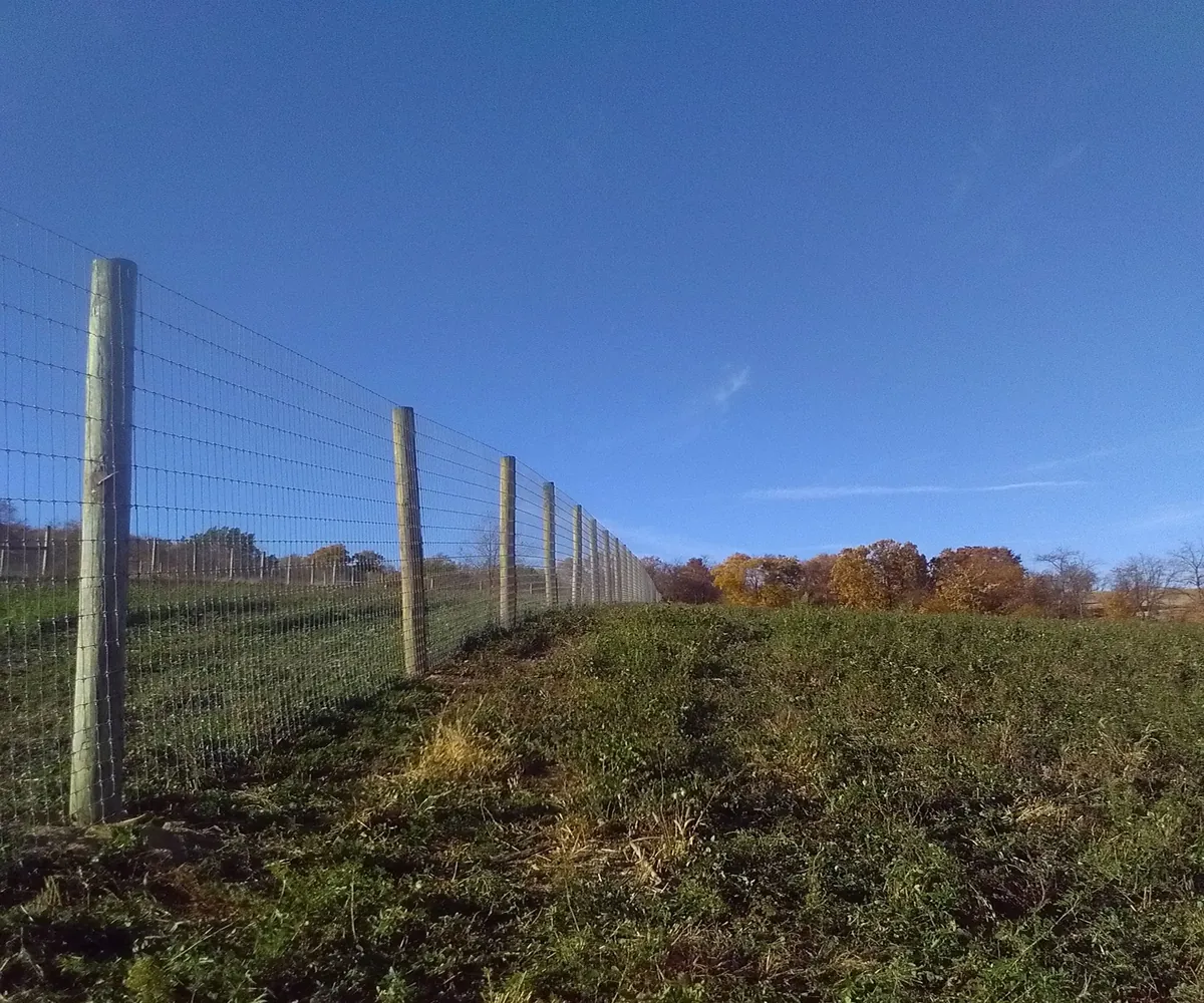 Farm fence surrounding a pasture