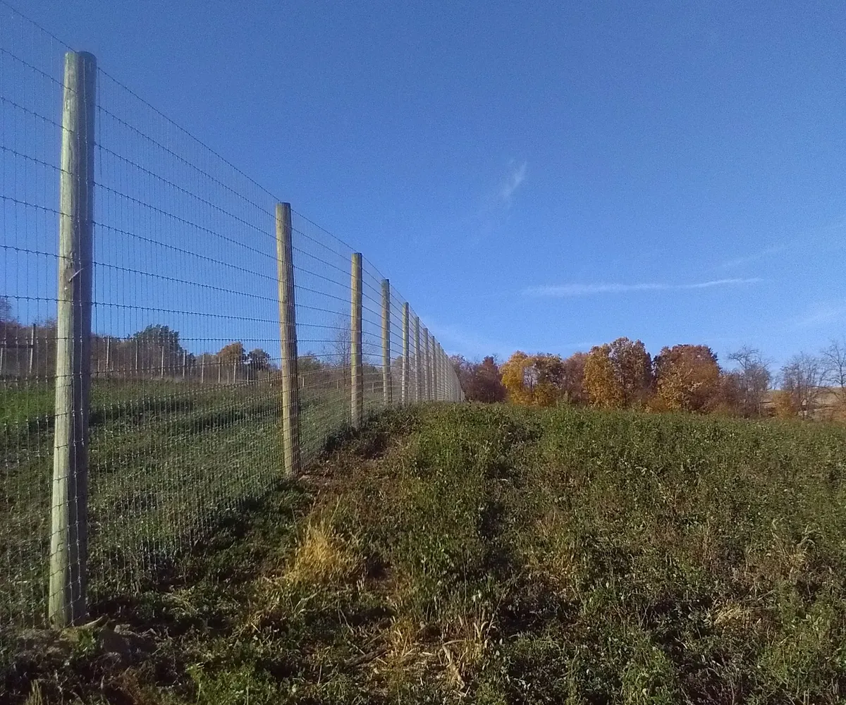 Keystone wire fence and posts along a rural field